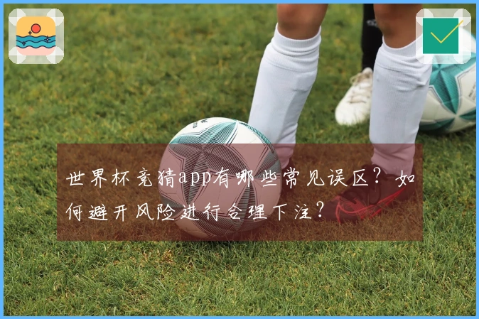 世界杯竞猜app有哪些常见误区？如何避开风险进行合理下注？