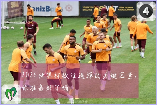 2026世界杯投注选择的关键因素，你准备好了吗