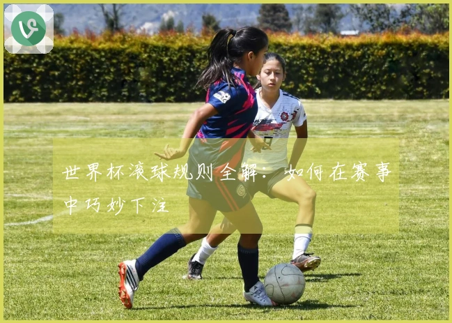 世界杯滚球规则全解：如何在赛事中巧妙下注