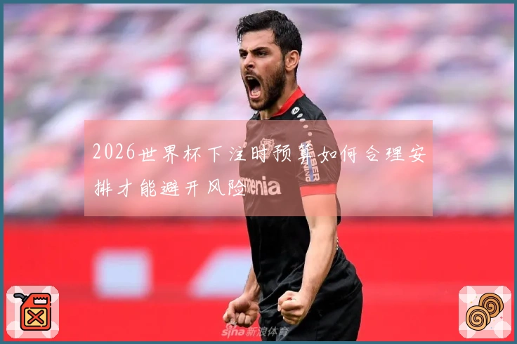 2026世界杯下注时预算如何合理安排才能避开风险