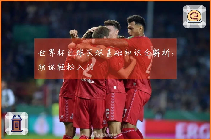 世界杯让球买球基础知识全解析，助你轻松入门