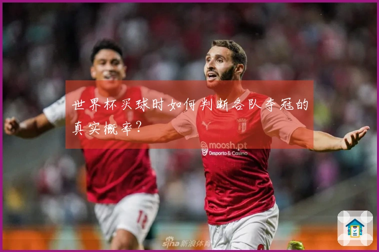 世界杯买球时如何判断各队夺冠的真实概率？