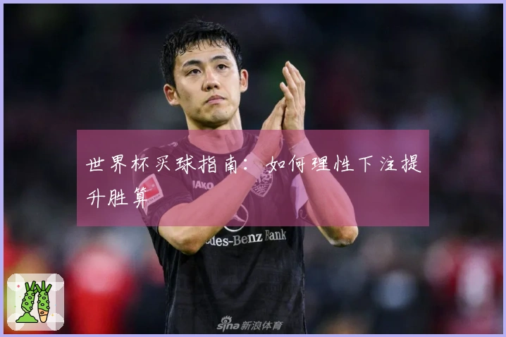 世界杯买球指南：如何理性下注提升胜算