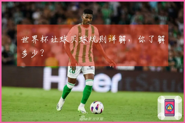 世界杯让球买球规则详解，你了解多少？