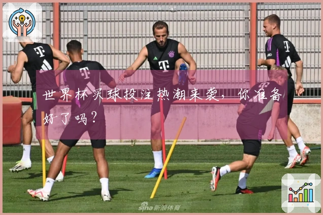 世界杯买球投注热潮来袭，你准备好了吗？