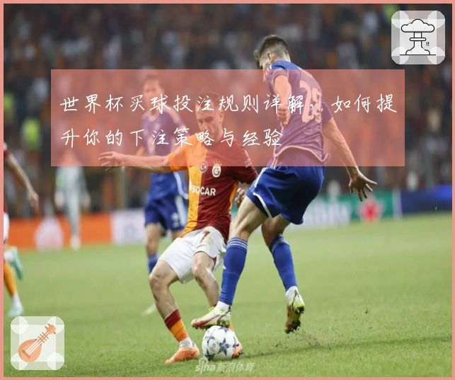 世界杯买球投注规则详解，如何提升你的下注策略与经验
