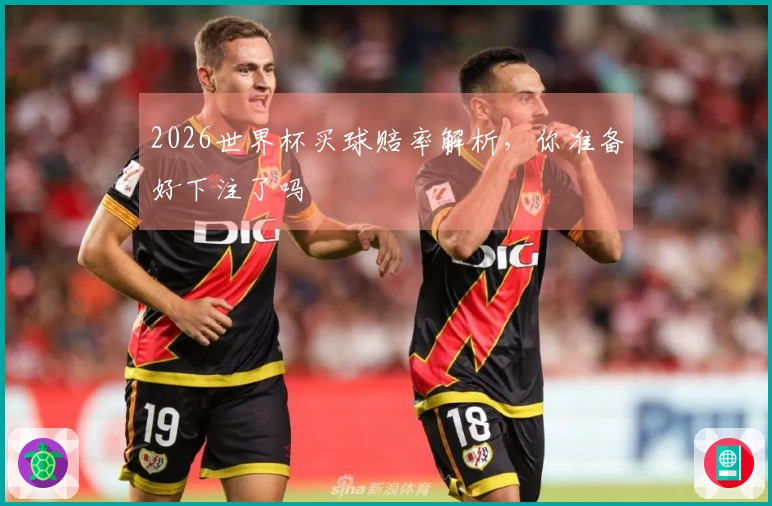 2026世界杯买球赔率解析，你准备好下注了吗
