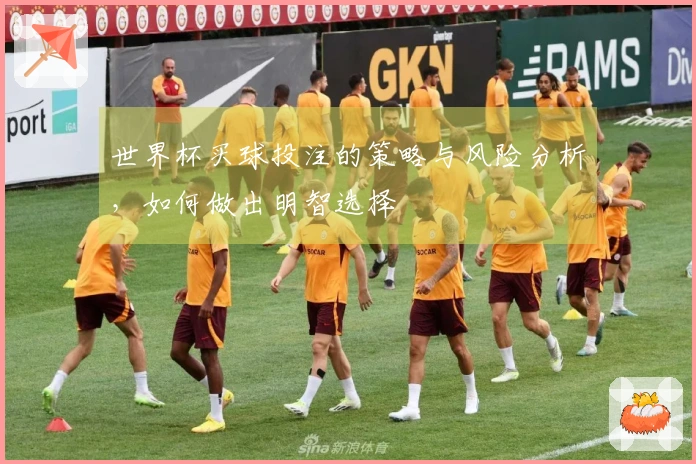 世界杯买球投注的策略与风险分析，如何做出明智选择