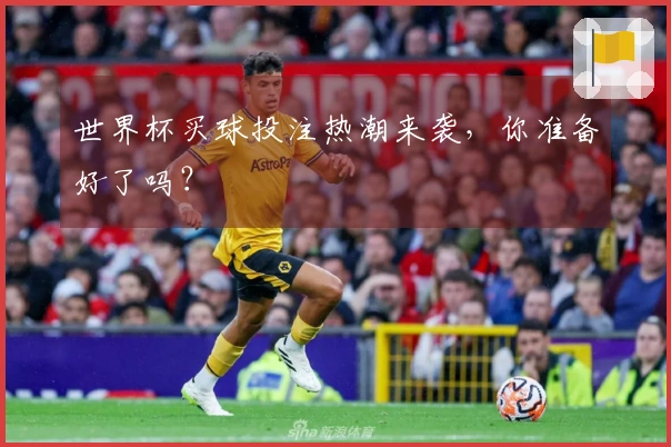 世界杯买球投注热潮来袭,你准备好了吗?