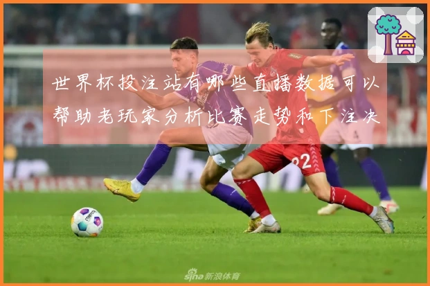 世界杯投注站有哪些直播数据可以帮助老玩家分析比赛走势和下注决策