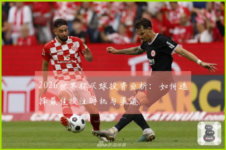 2026世界杯买球投资分析：如何选择最佳投注时机与渠道