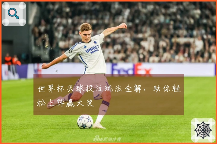 世界杯买球投注玩法全解，助你轻松上阵赢大奖
