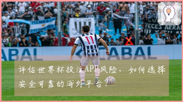 评估世界杯投注APP风险，如何选择安全可靠的海外平台？
